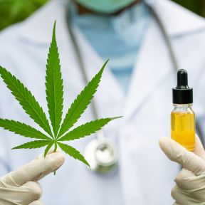 The approval of marijuana for medical use does benefit those for whom it is intended.