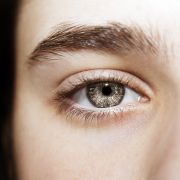 VictoriaShapiro/Shutterstock VictoriaShapiro/Shutterstock